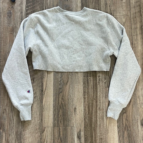 Champion Light Gray Cropped Hoodie - Picture 6 of 6